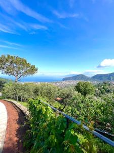 Fountain House Sorrento