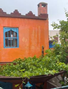 Dar El Pirata Hostel