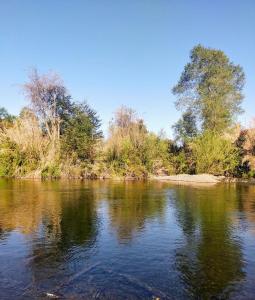 Cabañas Trabun Melipeuco