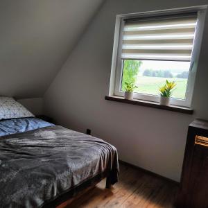 Chatka pod KLONAMI - Roztocze