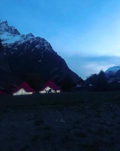 Bored Ape Jispa - Camp Site