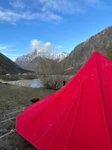 Bored Ape Jispa - Camp Site