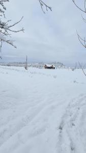 Casa bunicilor din Oncești