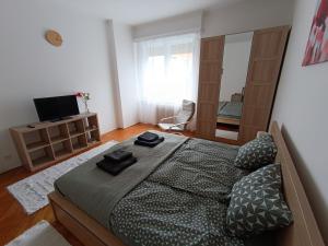 Barátságos, csendes, napfényes lakás.