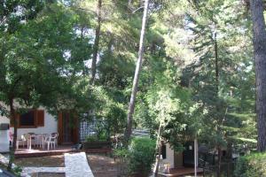 Bungalow con 2 Camere da Letto