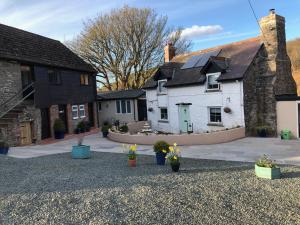 The Living Energy Holidays