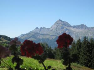 Appart'hotels La Ferme des Georgieres : photos des chambres