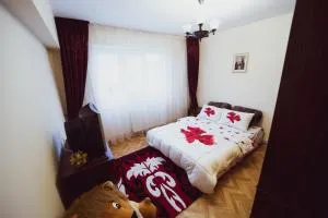 Apartament Slănic Prahova - Bertea