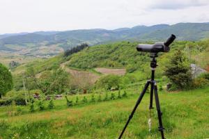 Maisons de vacances Maison avec vue 180° sur le Beaujolais : photos des chambres