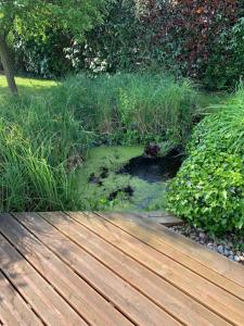 Maisons de vacances LE RANCH : photos des chambres