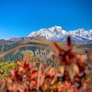 Chalets CHALET FAMILIAL AU PIED DES PISTES ET COMMERCES : photos des chambres