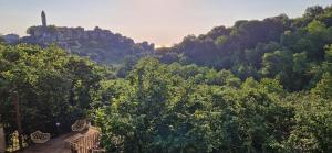 Maisons de vacances A Pasturella : photos des chambres