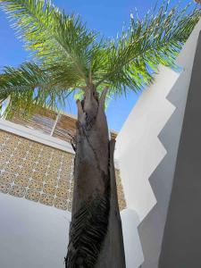 CasaWolhão LIBERDADE maison de pêcheur avec toit-terrasse