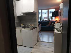 APARTAMENT 1 POKOJOWY Z ANEKSEM KUCHENNYM I ŁAZIENKĄ