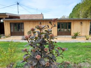 Sejours a la campagne Les Cottages du Chateau de Werde : photos des chambres