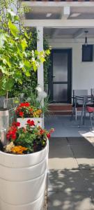 Apartman Stura 1