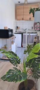 Appartements [Garden] Joli T1bis proche Arsenal et Tramway : photos des chambres