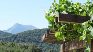 Appartements Gites Pyrenees Les Trois Montagnes : photos des chambres