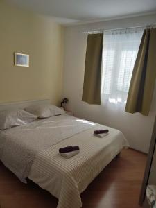 Comfort House San Snova