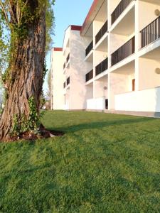 Seewirt & Haus Attila