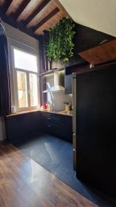 LOFT LA CATEDRAL DE CASA BOTES