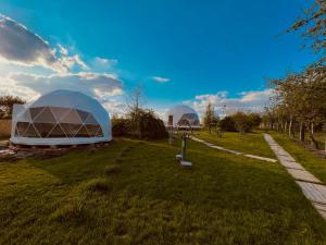 Glamping Stacja Zieleniec w Nałęczowie