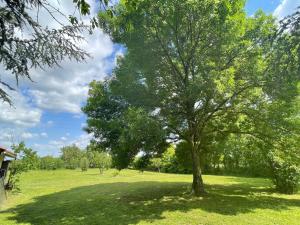 B&B / Chambres d'hotes Les Hauts de Beillard : photos des chambres