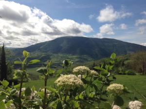 Agriturismo Le Sorgenti