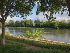 Maisons de vacances Clos de Lamagistere - Gite-Parc-Piscine : photos des chambres