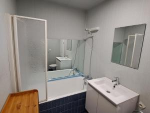 Studio lumineux avec parking à 250m des pistes - FR-1-165A-134