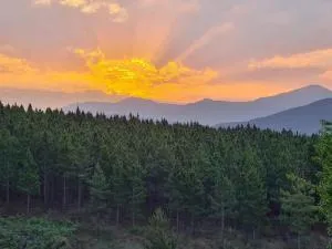 Majestic View Self Catering Guest House - 萨比