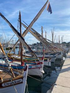 Appartements Appartement sur Bandol : photos des chambres