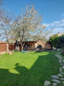 Apartmá U rybníčku