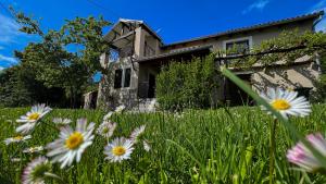 Casa Ana new in 2025 high speed Starlink wifi