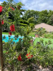 B&B / Chambres d'hotes Suite a la Villa Cattus : photos des chambres