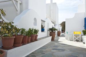 Filoxenia Apartments Myconos Greece