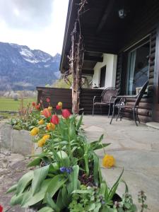 Chalet Scheffsnoth