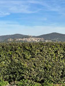 Villas Villa golfe de saint tropez : photos des chambres