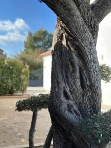 Villas Villa golfe de saint tropez : photos des chambres