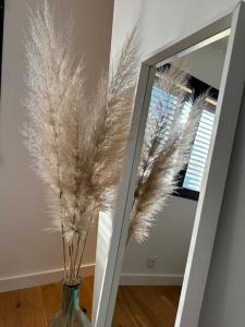 Villas Villa golfe de saint tropez : photos des chambres