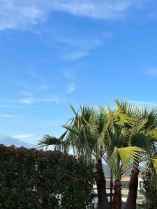 Villas Villa golfe de saint tropez : photos des chambres