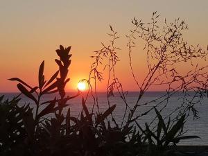 Portico Montiferru img7