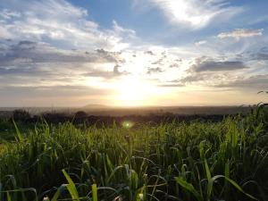 Portico Montiferru img18