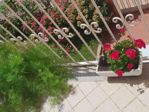 Portico Montiferru img29