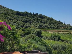 Portico Montiferru img45