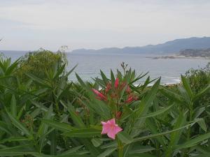 Portico Montiferru img53