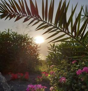 Portico Montiferru img56