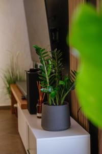 Mare Apartment Costal Gem