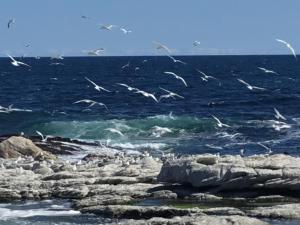 43 WHALE ROCK ESTATE - 4hvězdičkové hotely ve městě Hermanus