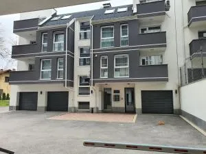 GUEST SUITE Narodno horo - Vladaya